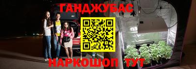 индика Малоярославец