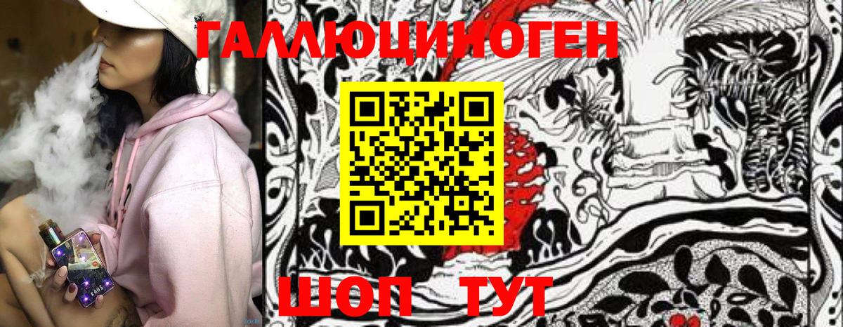 Псилоцибиновые грибы Psilocybe Ханты-Мансийск